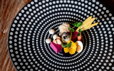 Rode bieten panna cotta