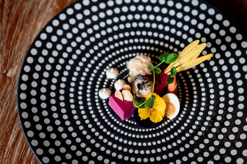 Rode bieten panna cotta